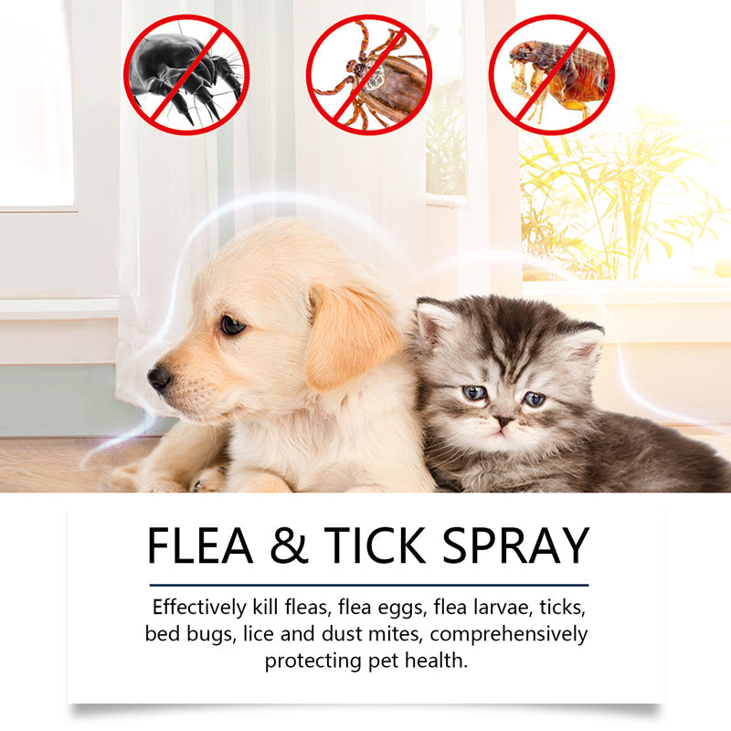⏳Limited-Time Offer: Buy 1 Get 1 FREE!✨️🌿Natural Flea & Tick Foam for Dogs and Cats🐾 Keep Your Beloved Pet Free from Pests---Polarvix®