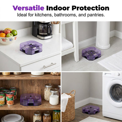 ⏳Time-Limited Special⏰ Reusable Roach Trap – Physical capture, no toxic sprays. One‑way doors, easy to check & clean. Safe for homes with kids & pets! 🏠✨---Polarvix®